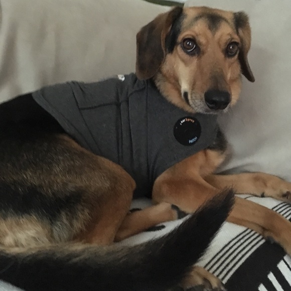 Meet your Posher, Virginia girl2021🏔l - Picture 2 of 3